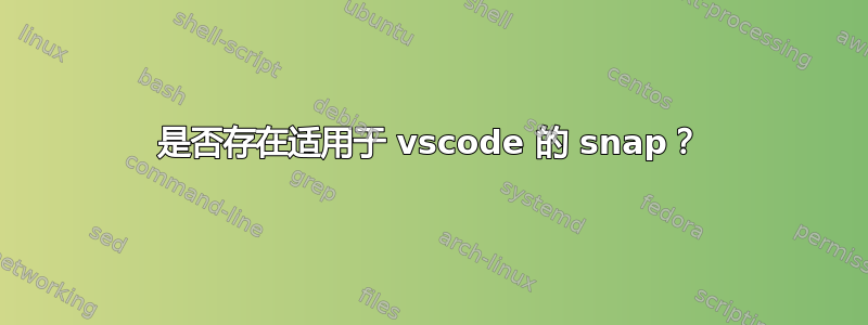 是否存在适用于 vscode 的 snap？