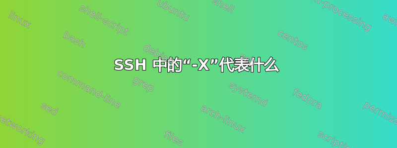 SSH 中的“-X”代表什么