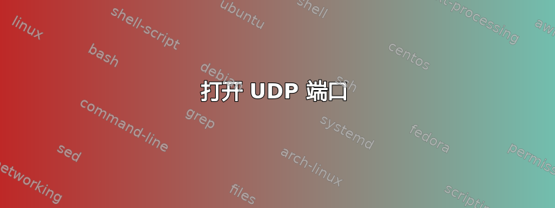 打开 UDP 端口