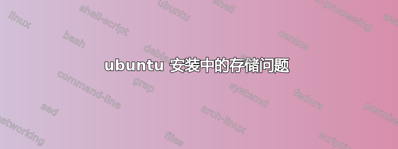 ubuntu 安装中的存储问题