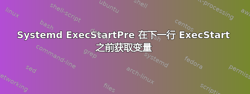 Systemd ExecStartPre 在下一行 ExecStart 之前获取变量