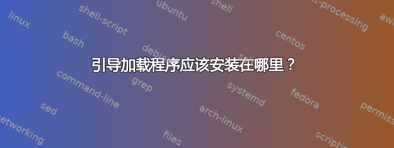 引导加载程序应该安装在哪里？