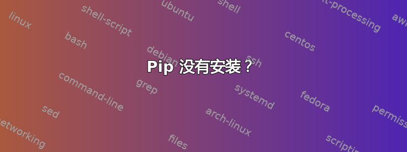 Pip 没有安装？