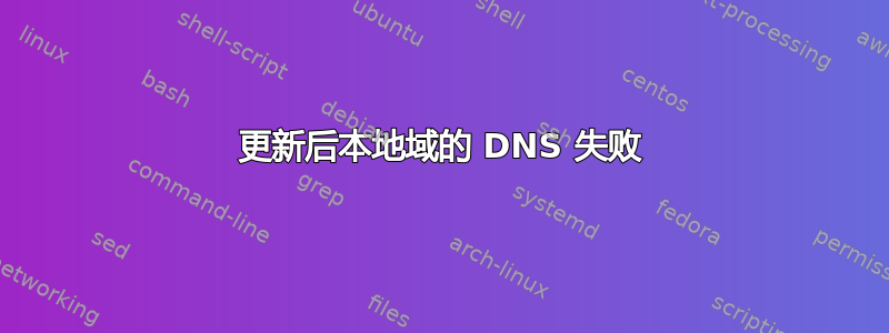 更新后本地域的 DNS 失败