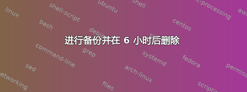 进行备份并在 6 小时后删除