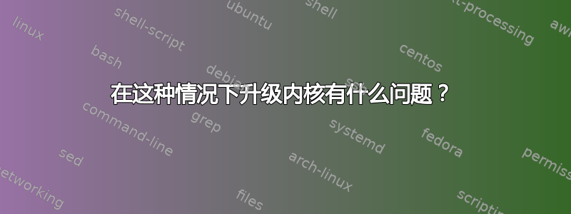 在这种情况下升级内核有什么问题？