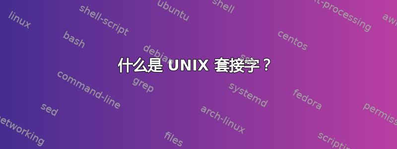 什么是 UNIX 套接字？