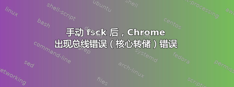 手动 fsck 后，Chrome 出现总线错误（核心转储）错误