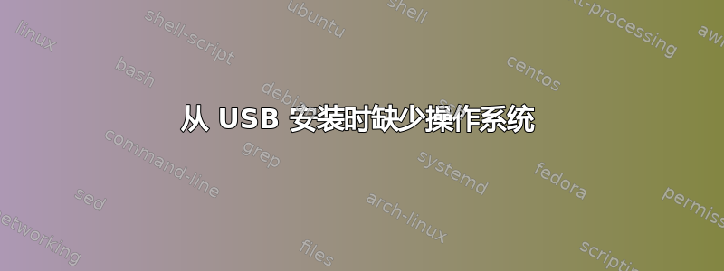 从 USB 安装时缺少操作系统