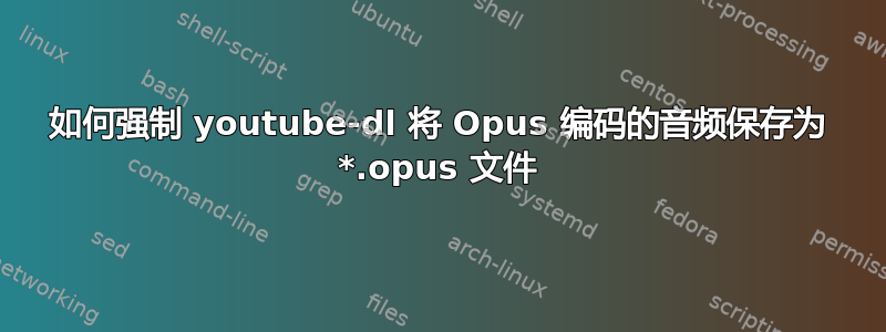 如何强制 youtube-dl 将 Opus 编码的音频保存为 *.opus 文件