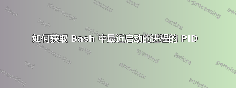 如何获取 Bash 中最近启动的进程的 PID 