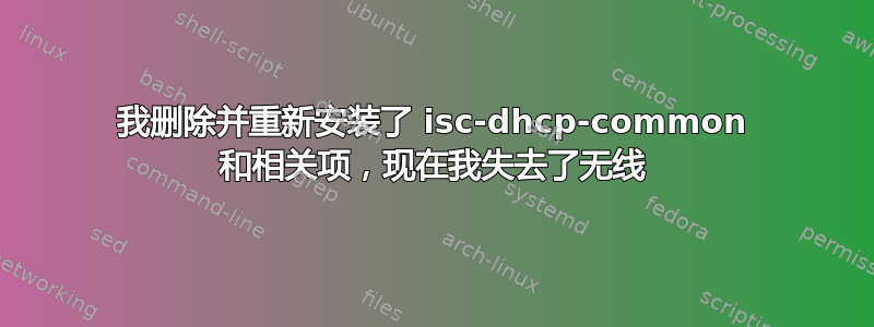 我删除并重新安装了 isc-dhcp-common 和相关项，现在我失去了无线