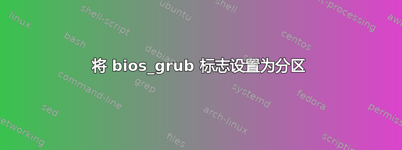 将 bios_grub 标志设置为分区