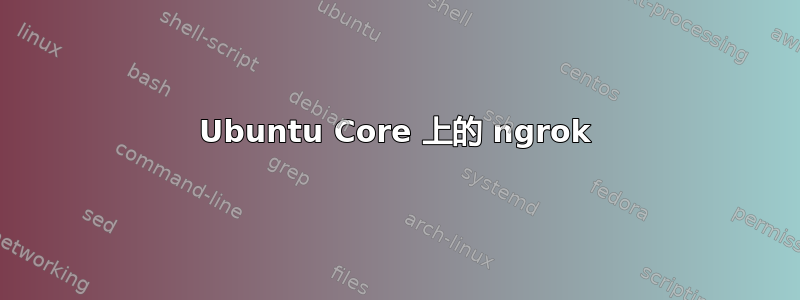 Ubuntu Core 上的 ngrok