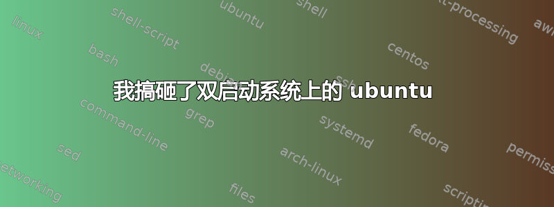 我搞砸了双启动系统上的 ubuntu