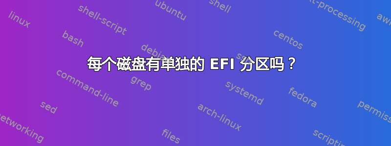 每个磁盘有单独的 EFI 分区吗？