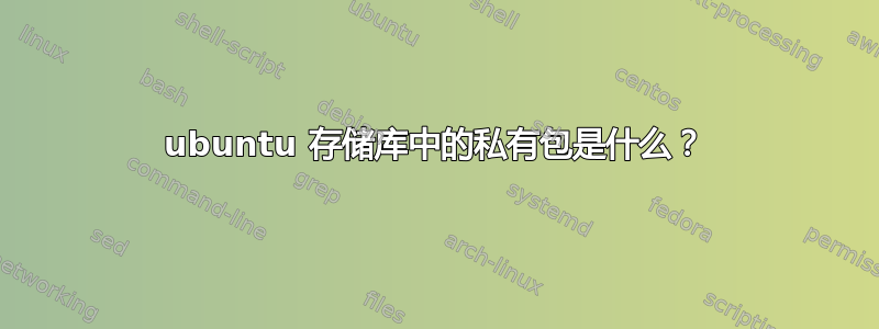 ubuntu 存储库中的私有包是什么？