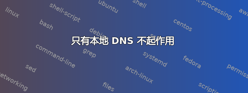 只有本地 DNS 不起作用