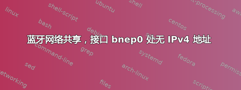 蓝牙网络共享，接口 bnep0 处无 IPv4 地址