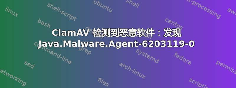 ClamAV 检测到恶意软件：发现 Java.Malware.Agent-6203119-0