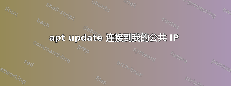 apt update 连接到我的公共 IP