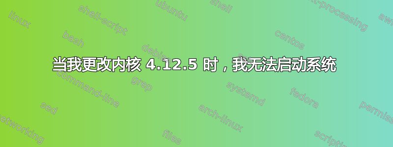 当我更改内核 4.12.5 时，我无法启动系统