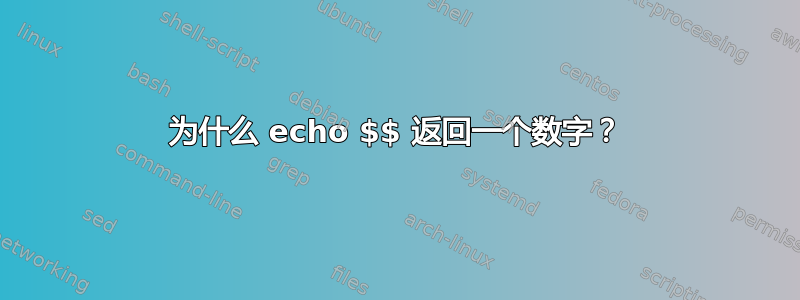 为什么 echo $$ 返回一个数字？