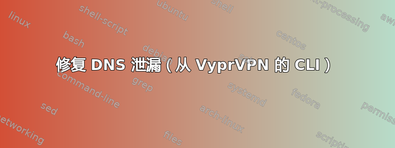 修复 DNS 泄漏（从 VyprVPN 的 CLI）