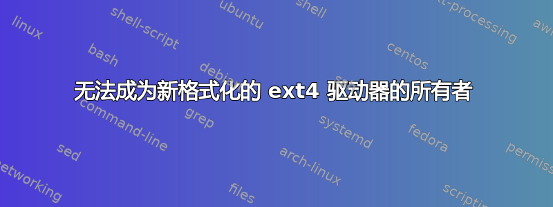 无法成为新格式化的 ext4 驱动器的所有者