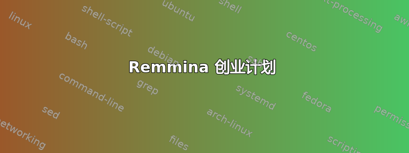 Remmina 创业计划