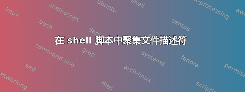 在 shell 脚本中聚集文件描述符