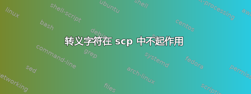 转义字符在 scp 中不起作用