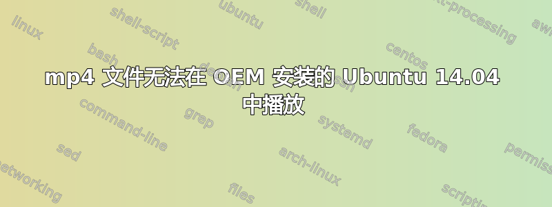 mp4 文件无法在 OEM 安装的 Ubuntu 14.04 中播放