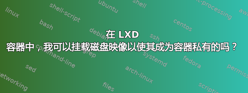 在 LXD 容器中，我可以挂载磁盘映像以使其成为容器私有的吗？