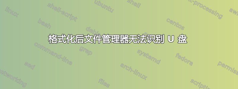 格式化后文件管理器无法识别 U 盘