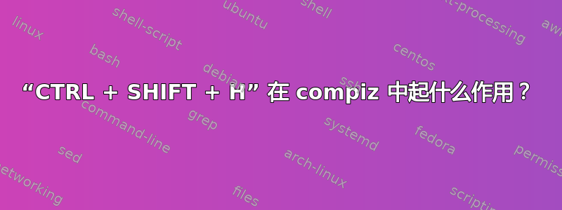 “CTRL + SHIFT + H” 在 compiz 中起什么作用？