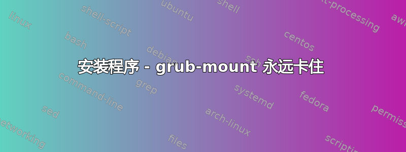 安装程序 - grub-mount 永远卡住