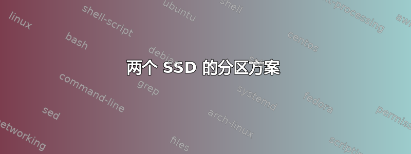 两个 SSD 的分区方案