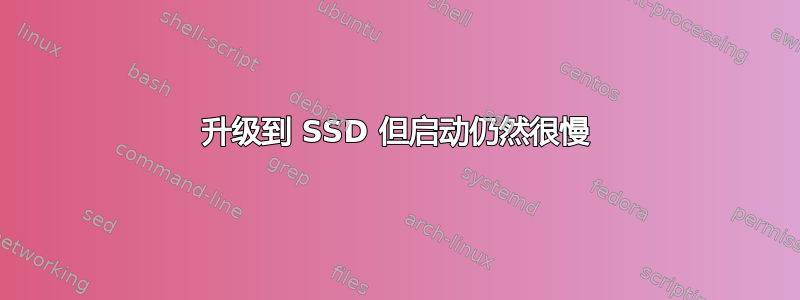 升级到 SSD 但启动仍然很慢