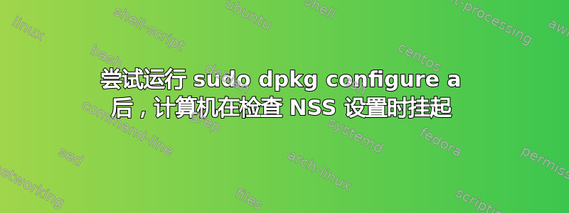 尝试运行 sudo dpkg configure a 后，计算机在检查 NSS 设置时挂起