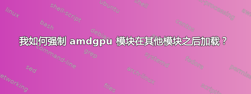 我如何强制 amdgpu 模块在其他模块之后加载？