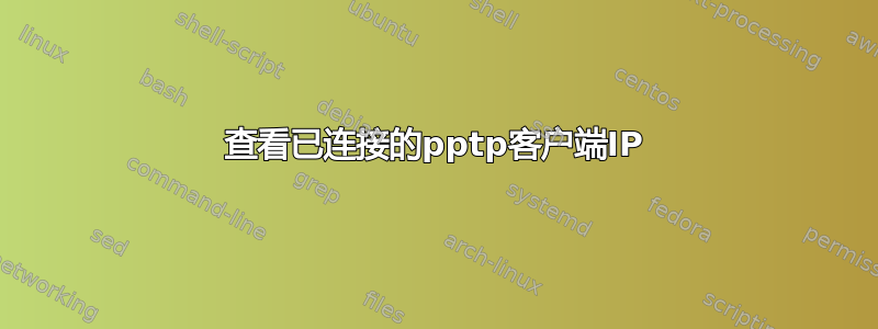 查看已连接的pptp客户端IP