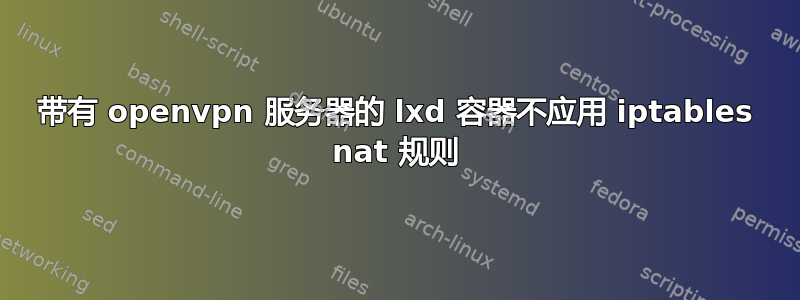 带有 openvpn 服务器的 lxd 容器不应用 iptables nat 规则