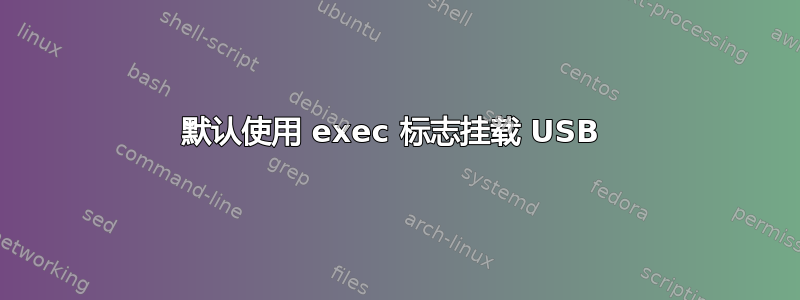 默认使用 exec 标志挂载 USB 