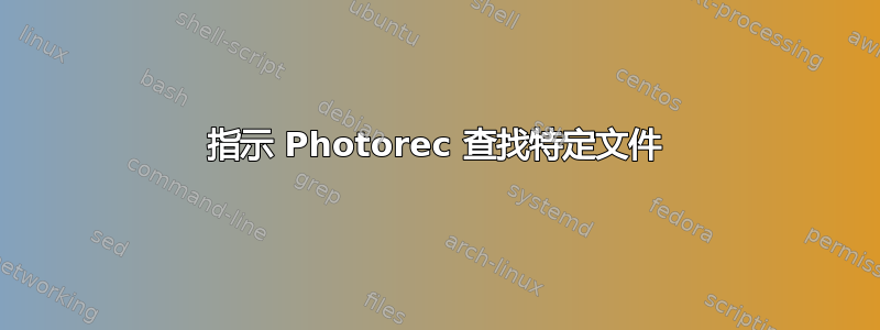 指示 Photorec 查找特定文件