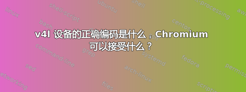 v4l 设备的正确编码是什么，Chromium 可以接受什么？