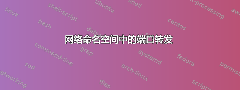 网络命名空间中的端口转发