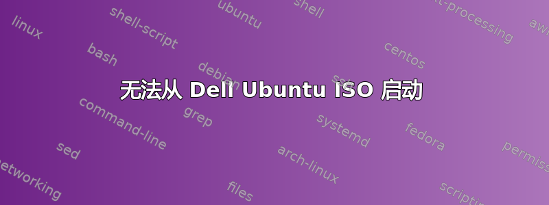 无法从 Dell Ubuntu ISO 启动