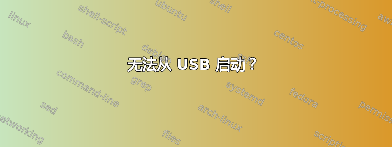 无法从 USB 启动？