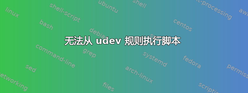 无法从 udev 规则执行脚本